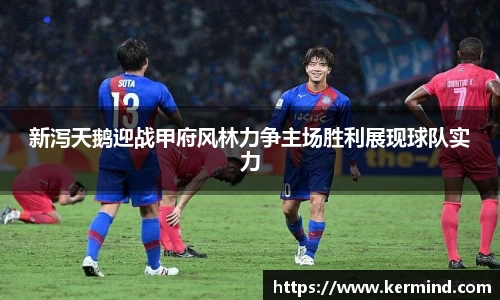 新泻天鹅迎战甲府风林力争主场胜利展现球队实力