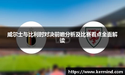 威尔士与比利时对决前瞻分析及比赛看点全面解读
